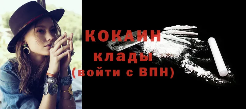 купить наркотики цена  Енисейск  Cocaine Fish Scale 